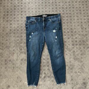 Torrid Jeans
